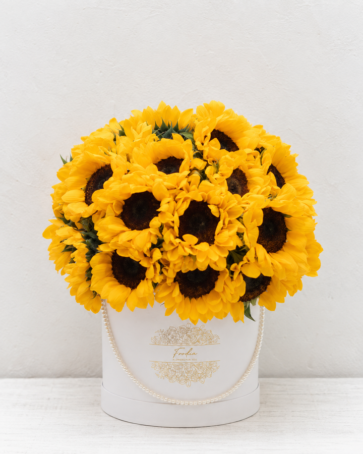 Luz de Sol: box de 30 girasoles – Frodia Flowers
