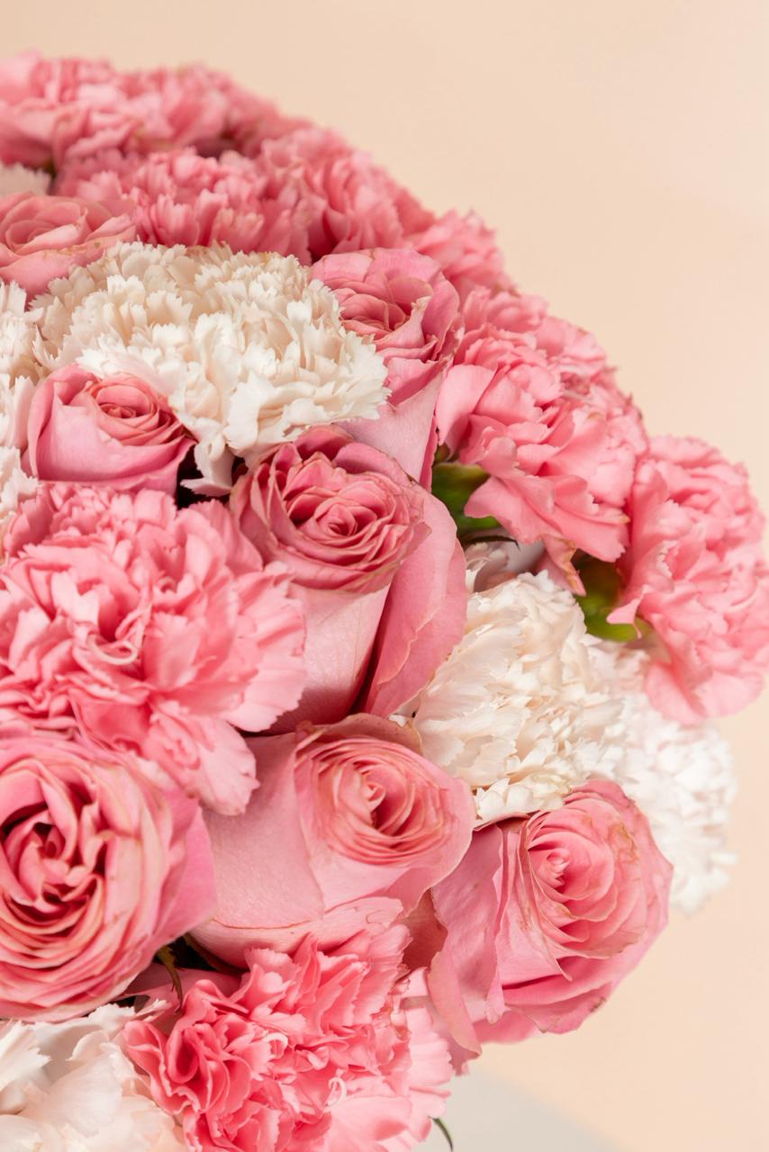 Amor Pastel