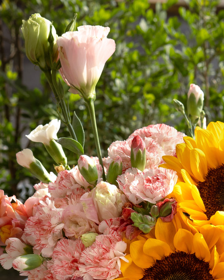 Detalle de Box Aurora – Frodia Flowers