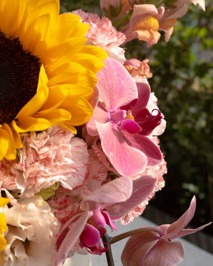 Detalle de Box Aurora – Frodia Flowers